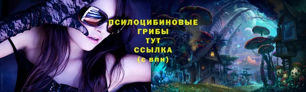 героин Богданович