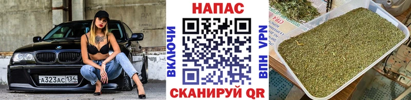 купить закладку  Кущёвская  Шишки марихуана Amnesia 